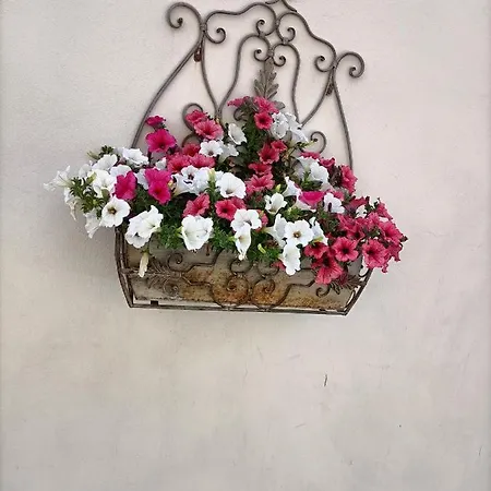 Casamour
